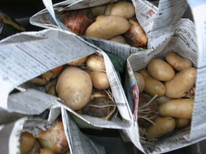 たくさんいただきました