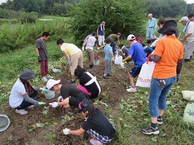 芋ほり会