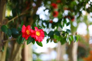 「価値観とか」に支えられて