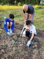 春木さつまいも掘り①