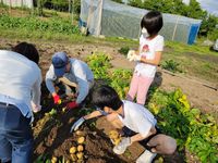 じゃがいもにんじん⑧