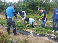 20230526ひだまり畑④